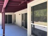1156 Vinedo Lane - Photo 52