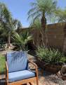 30178 Coral Bean Drive - Photo 10