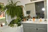 3821 Keeling Road - Photo 17