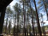 9016 Fossil Creek Road - Photo 2