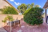 14135 Whitewood Drive - Photo 44