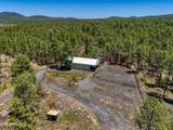 702 Flag Hollow Road - Photo 49