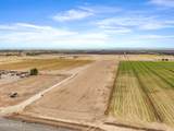 000 Tweedy Road - Photo 14