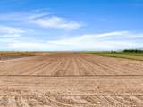 000 Tweedy Road - Photo 3