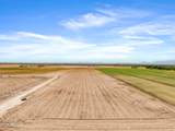 000 Tweedy Road - Photo 6