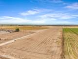 000 Tweedy Road - Photo 9