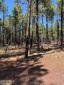 TBD Dynamite Road - Photo 3