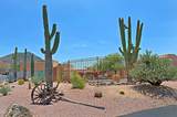 38065 Cave Creek Road - Photo 69