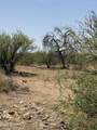 20 ac Price Ranch Road - Photo 22