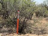 20 ac Price Ranch Road - Photo 4
