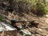 0000 Monica Mine Road - Photo 29
