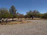 5766 Calle Coyote - Photo 4