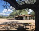 3155 Elephant Head Road - Photo 41