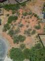 TBD Morning Glory Court - Photo 5