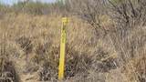 9.97 acres Kit Carson Road - Photo 16