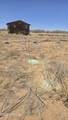 9.97 acres Kit Carson Road - Photo 3