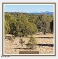 00XX Edwards Ranch Rd 327 Road - Photo 1