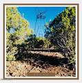 00XX Edwards Ranch Rd 327 Road - Photo 2