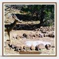 00XX Edwards Ranch Rd 327 Road - Photo 3