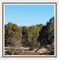 00XX Edwards Ranch Rd 327 Road - Photo 4