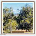 00XX Edwards Ranch Rd 327 Road - Photo 5