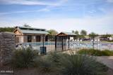 28377 Desert Native Street - Photo 49