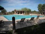 28377 Desert Native Street - Photo 50