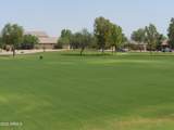 28377 Desert Native Street - Photo 63