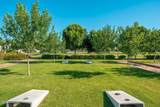 21946 Via De Arboles - Photo 60