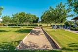 21946 Via De Arboles - Photo 61
