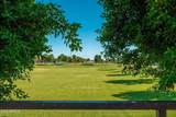 21946 Via De Arboles - Photo 77