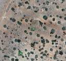 58715 Tambor Road - Photo 1
