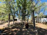 2640 Spoonbill Drive - Photo 100