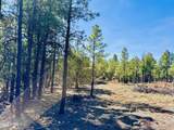 2640 Spoonbill Drive - Photo 101