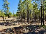 2640 Spoonbill Drive - Photo 11