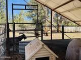 2640 Spoonbill Drive - Photo 15