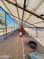 2640 Spoonbill Drive - Photo 18