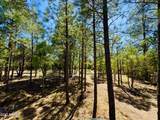 2640 Spoonbill Drive - Photo 24