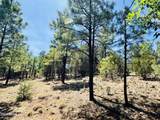 2640 Spoonbill Drive - Photo 64
