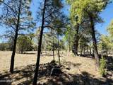 2640 Spoonbill Drive - Photo 66