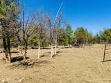 2640 Spoonbill Drive - Photo 69