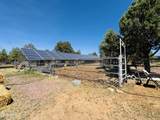 2640 Spoonbill Drive - Photo 78