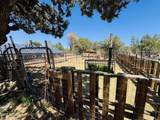 2640 Spoonbill Drive - Photo 84