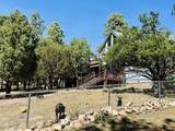 2640 Spoonbill Drive - Photo 85