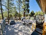 2640 Spoonbill Drive - Photo 9