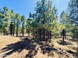 2640 Spoonbill Drive - Photo 94