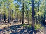 2640 Spoonbill Drive - Photo 95