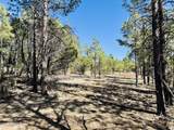 2640 Spoonbill Drive - Photo 97
