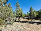 2640 Spoonbill Drive - Photo 98