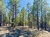 2640 Spoonbill Drive - Photo 99